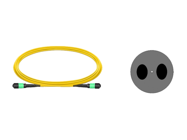 PM MPO Fiber Patchcord